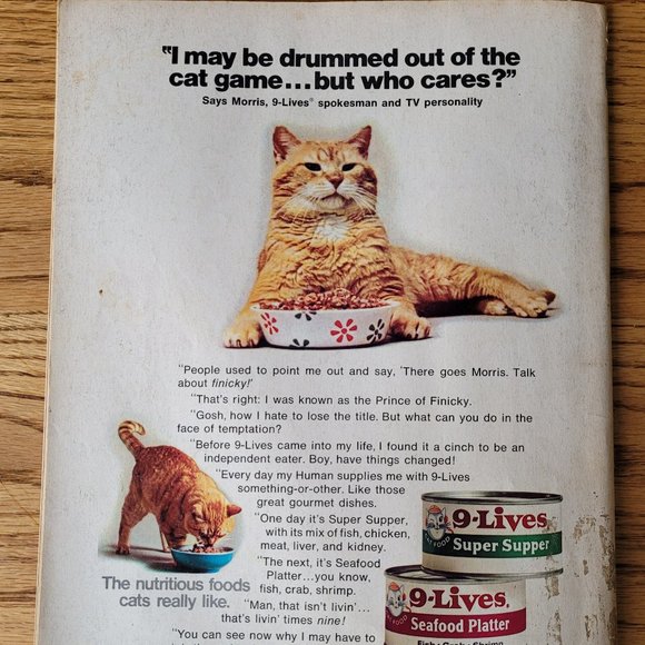 Vintage December 1973 Cat Fancy Photography, Hemingway Cats, - Picture 16 of 16